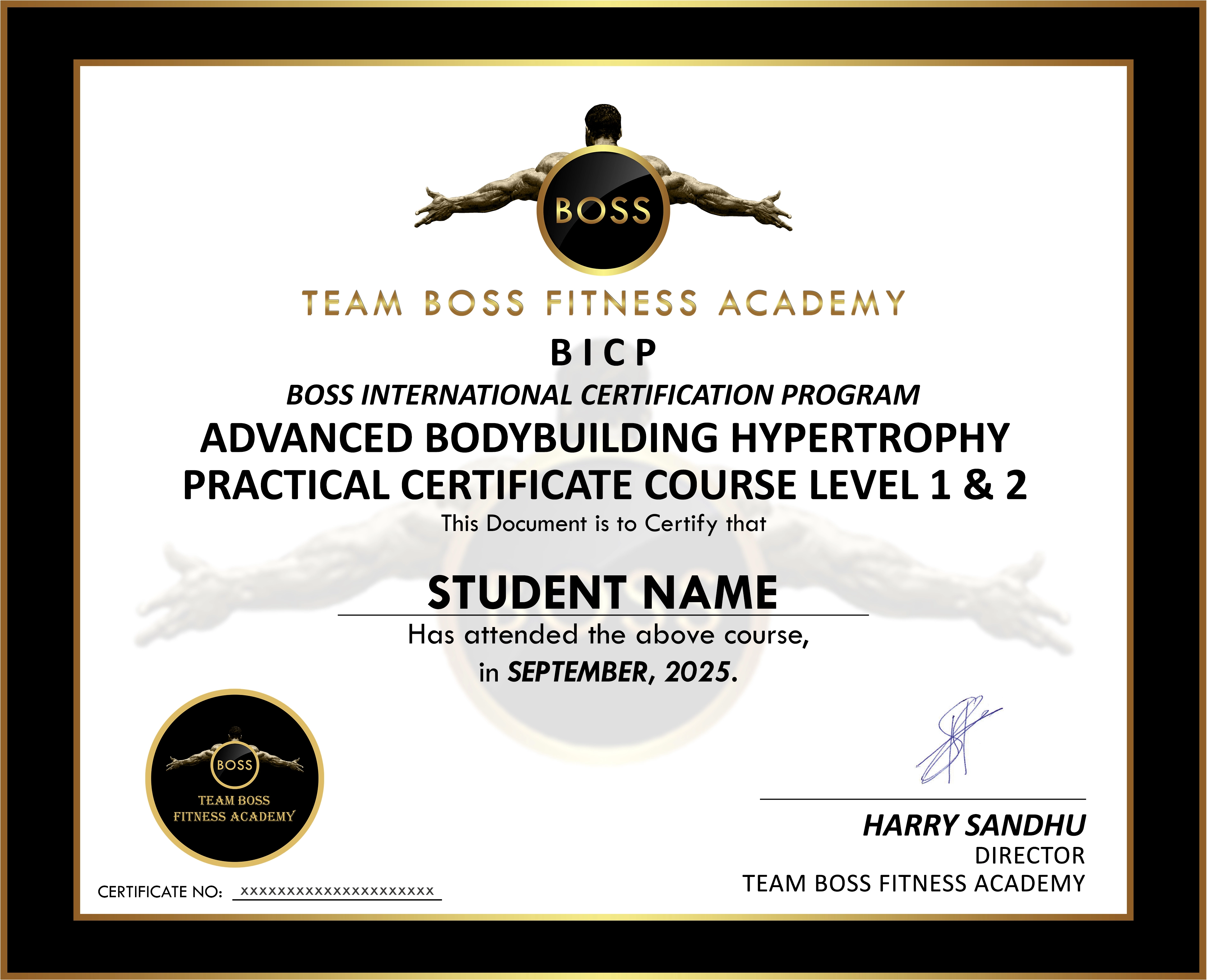 Master Certificate 4